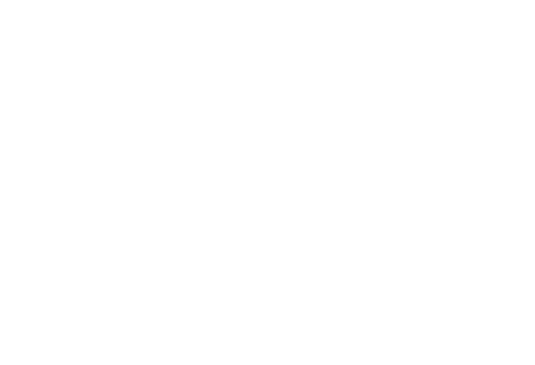 logo digi